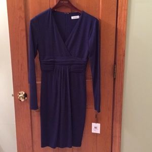 Calvin Klein Navy Dress